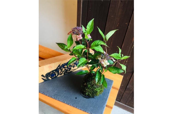 ラブジャパンブランド