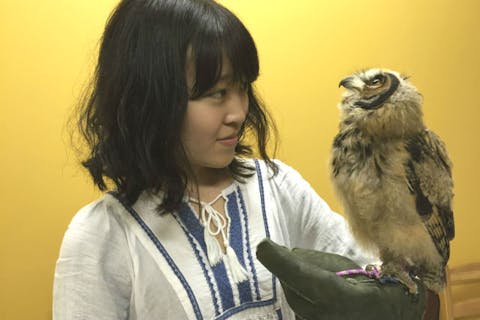 関西 フクロウカフェの遊び体験 アソビュー 休日の便利でお得な遊び予約サイト