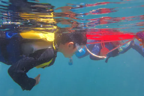 東京でシュノーケリング スノーケリング を体験 予約するなら アソビュー