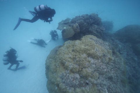 【宮古島・FUNダイビング】伊良部島の人気ポイントで潜ろう！2ボートFUNダイビング＜ライセンスカード必須＞