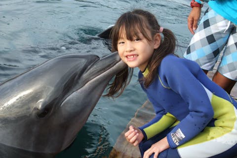 静岡 伊東市 ドルフィンスイム 写真撮影もok イルカ触れ合いコース アソビュー