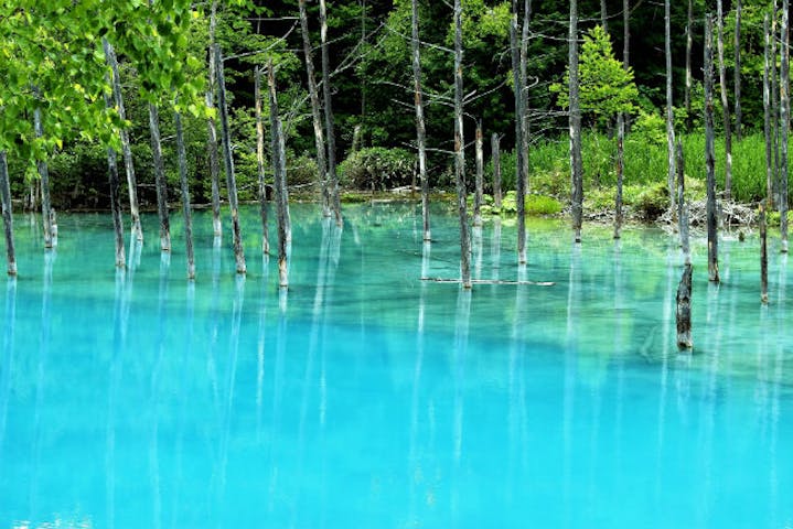 北海道 美瑛 サイクリング 青い池 しらひげの滝ツアー 電動アシスト自転車 アソビュー