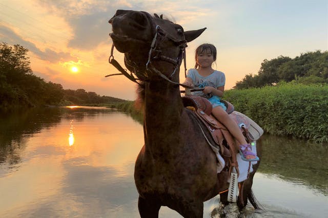 東京・日野市・ホーストレッキング】高幡不動駅から徒歩13分！馬に乗っ