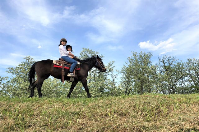 東京・日野市・ホーストレッキング】高幡不動駅から徒歩13分！馬に乗っ