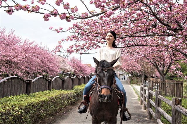 東京・日野市・ホーストレッキング】高幡不動駅から徒歩13分！馬に乗っ