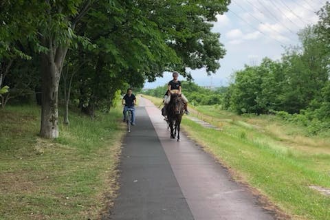 【東京・日野市・ホーストレッキング】高幡不動駅から徒歩13分！馬に乗ってふれあい橋をお散歩。ホーストレッキング（90分）
