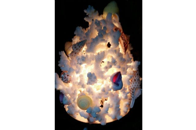 沖縄 那覇市 手作りランプシェード サンゴから光があふれる サンゴ ランプ アソビュー