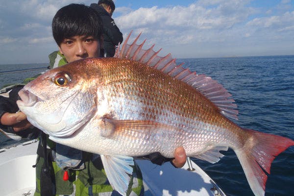 【東京・大田区・釣り体験】たっぷり8時間コース！東京湾で真鯛釣り！