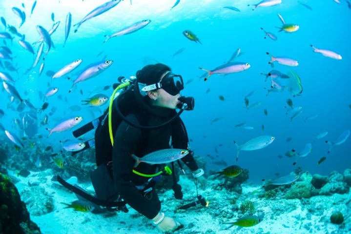 ダイビングショップSB（エスビー）