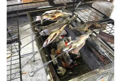 【岐阜・川釣り体験】自分で釣って焼いて食べよう！マス釣り体験＆けいちゃんBBQ