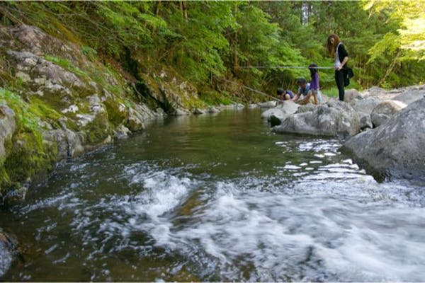 岐阜 川釣り体験 自分で釣って焼いて食べよう マス釣り体験 けいちゃんbbq アソビュー