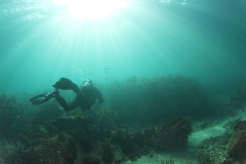 【千葉・勝浦市】PADIオープンウォーターダイバー・Cカード取得コース（3日間）