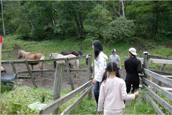 ムツ牧場ひだまり乗馬クラブ ネット予約ならアソビュー