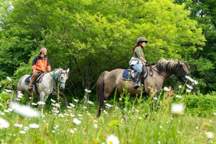 ムツ牧場ひだまり乗馬クラブ ネット予約ならアソビュー