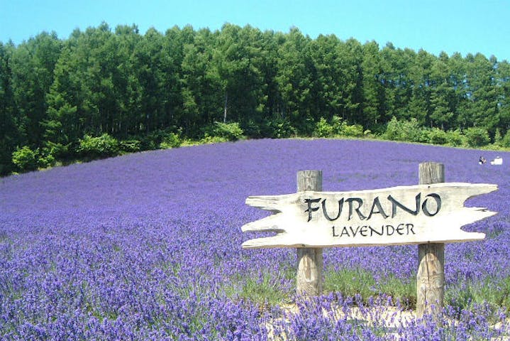 北海道観光個人 生田タクシー