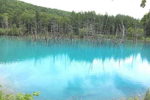 【小樽発・観光タクシー】貸切タクシーで長距離移動も安心！富良野・美瑛満喫プラン