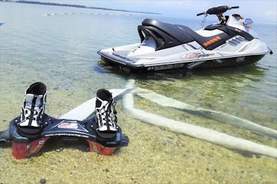 滋賀・琵琶湖畔】ベタベタしない！透明度最高の完全淡水！フライ