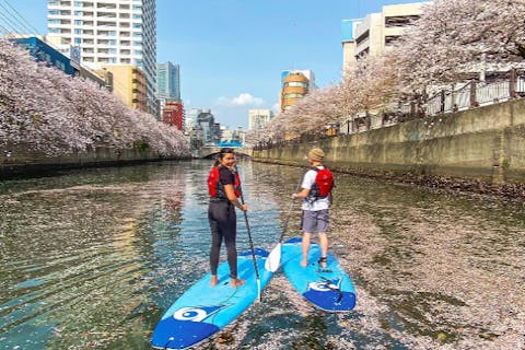 【初心者向け】季節限定！「日ノ出町駅」から徒歩約3分！さくらSUPクルーズ（90分・写真データ付）