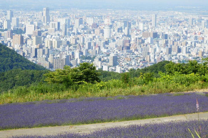 北海道 貸切ジャンボタクシー 札幌ツアー 8時間 アソビュー