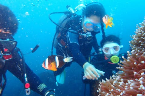 【伊豆大島・大島町】体験ダイビングツアー　シャワールーム等充実施設完備（120分）