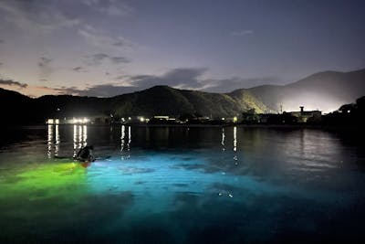 奄美大島・カヤック】夜の海をお散歩！ナイトカヤックツアー｜アソビュー！