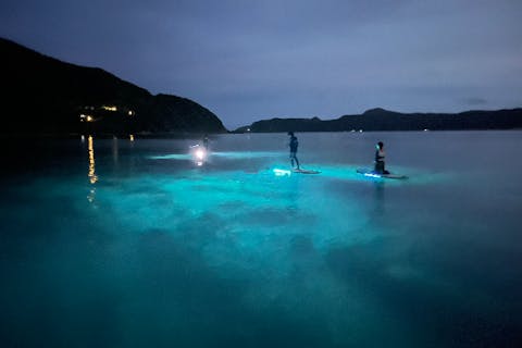 【奄美大島・SUP】光るSUPで出かけよう！ナイトSUPツアー