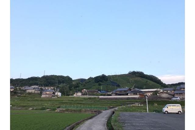 京都 ガイドツアー 釜塚山をご案内 宇治茶の郷 和束の茶畑ツアー アソビュー