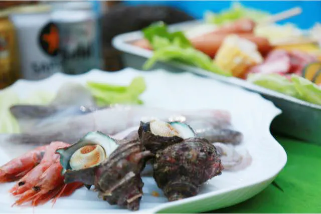 Nan's Sea（ナンシィ）