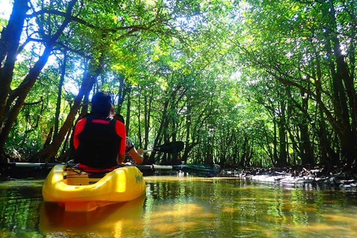 西表島 ADVENTURE PiPi（アドベンチャーピピ）