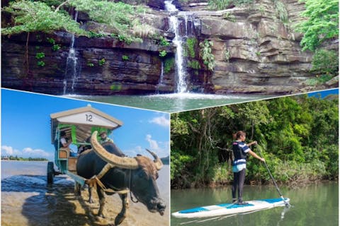 【沖縄・西表島・SUP】水落の滝を目指すマングローブSUPorカヌー＆由布島観光（1日/写真データ無料）