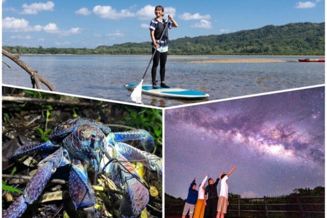 【沖縄・西表島・宿泊者限定】マングローブ林と星空保護区の絶景セットプラン！マングローブSUP/カヌー＆ジャングルナイトツアー