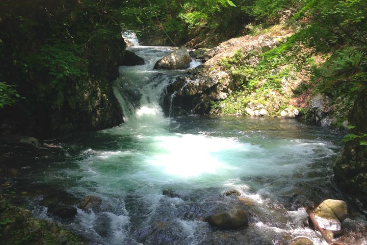 フィールドアース