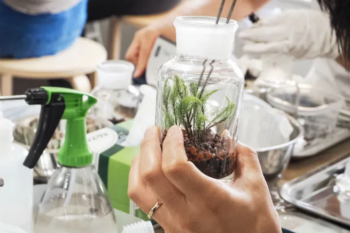 東京都 テラリウム いつでも 1人の検索結果 全2件 アソビュー