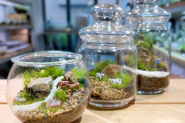 東京・江東区・清澄白河】ガラス瓶で作る苔のテラリウム（90分