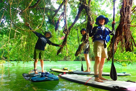 【沖縄・中部・比謝川マングローブリバーサップ】初めてのSUPはマングローブリバーで！アクセス便利空港から45分、恩納村から20分！ツアー画像プレゼント！お得な割引も！