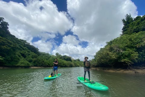 【沖縄・中部・比謝川マングローブリバーサップ】＼ネット割♪／初めてのSUPはマングローブリバーで！アクセス便利空港から45分、恩納村から20分！ツアー画像プレゼント！お得な割引も！