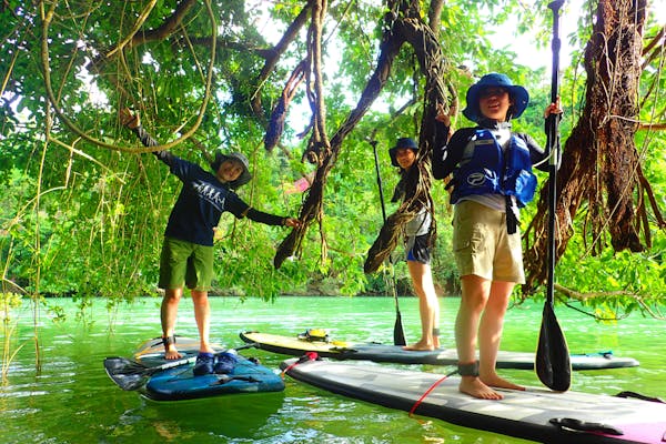 沖縄・中部・マングローブリバーサップ】4名以上でお得に＼グループ割