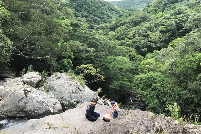 【鹿児島・奄美大島】貸切案内！マングローブカヌーと絶景！秘境の滝