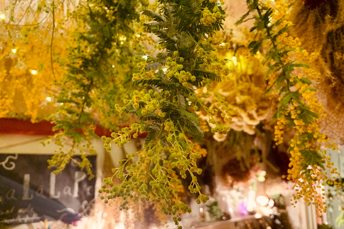 大阪 心斎橋 ドライフラワーサシェ 60分 アソビュー