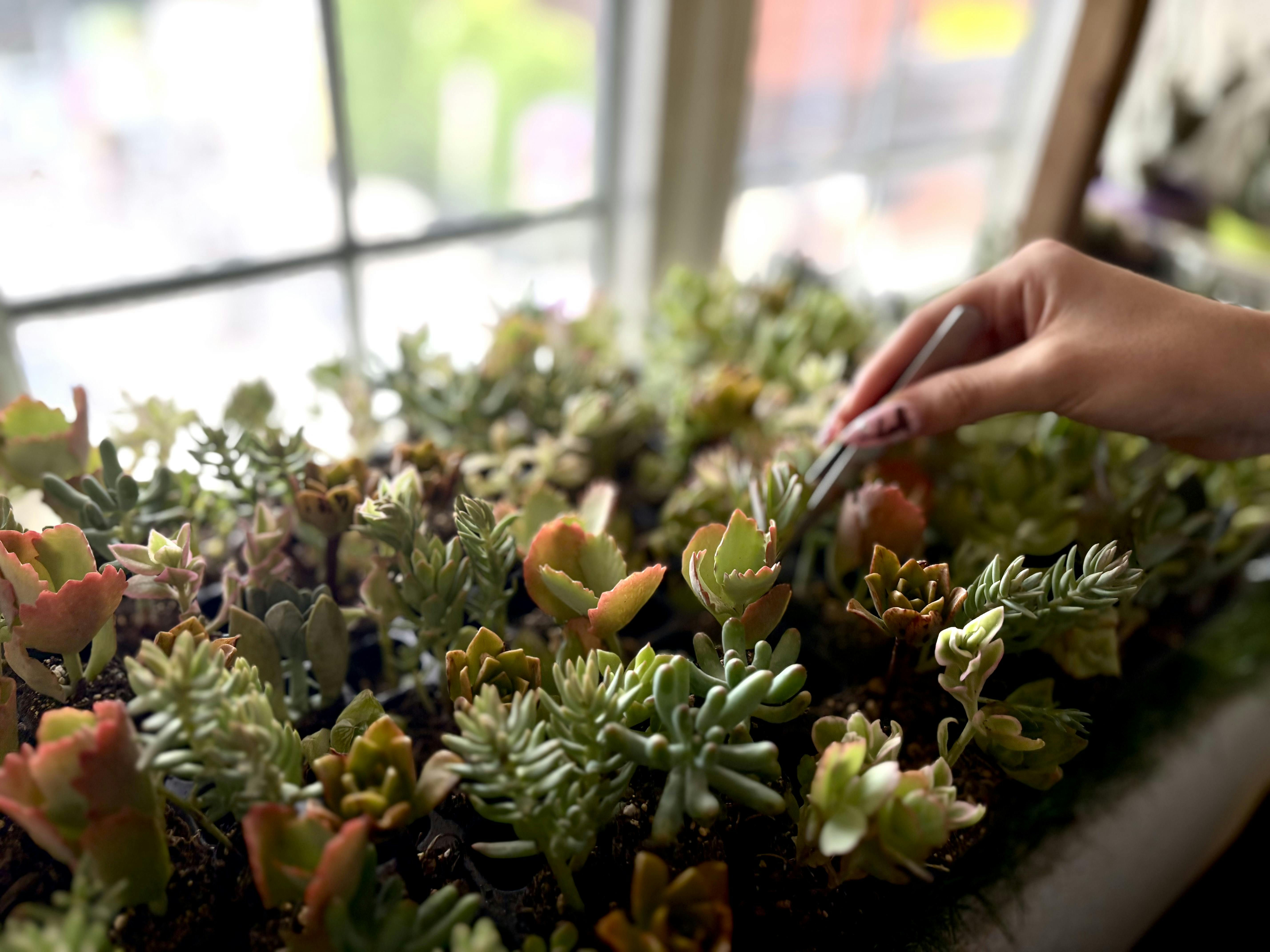 大阪手作り体験のLALALAPO