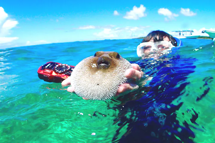 西表インシャー ネット予約ならアソビュー