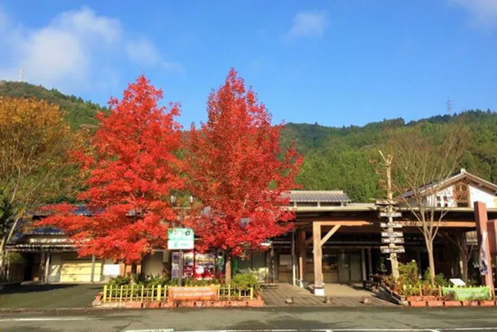 道の駅土佐さめうら ネット予約ならアソビュー