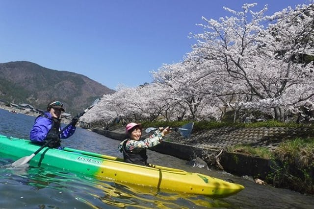 【琵琶湖・カヌー】滋賀県桜の名所、海津大崎でのお花見カヌー♪軽食付・飲み物付きのプランです！