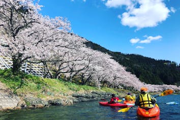 琵琶湖・カヌー】滋賀県桜の名所、海津大崎でのお花見カヌー♪軽食付
