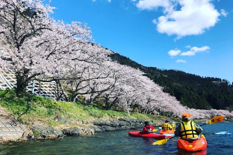 【琵琶湖・カヌー】滋賀県桜の名所、海津大崎でのお花見カヌー♪軽食付・飲み物付きのプランです！