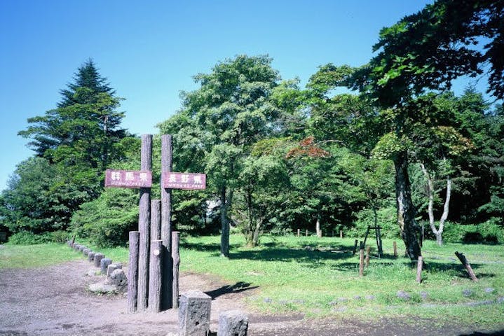 長野 軽井沢 旧中山道 トレッキングツアー 軽井沢宿 坂本宿 5 6時間 アソビュー