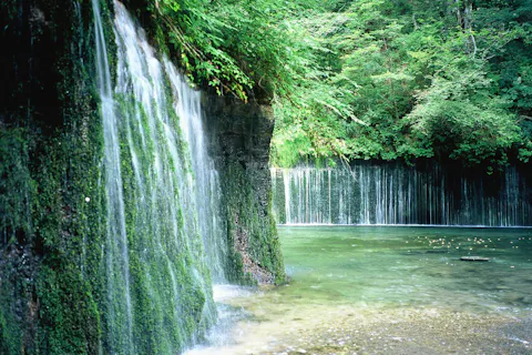 【GoTo・長野・軽井沢】軽井沢のパワースポット＆絶景巡り・観光タクシー（碓氷峠・白糸の滝・雲場池など・3時間）