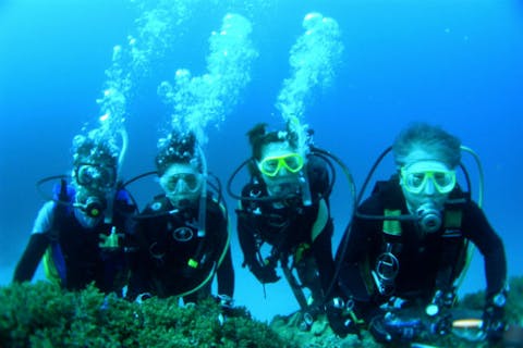 【奄美大島】 ファンダイビング（2ボート・4時間30分）