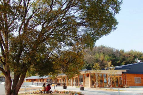 【大阪・河内長野市】さつまいも・収穫体験＆野菜ビュッフェ（2株持ち帰り・2時間）