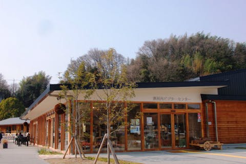 【大阪・河内長野市】落花生・収穫体験＆野菜ビュッフェ（2株持ち帰り・2時間）